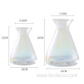 Modern Style Glass Transparent Vases